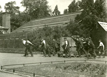 Ryhmä miehiä liikuttelee leopardia puuhäkissä, jonka jälkeen kaksi poikaa, Lontoon eläintarha, 1922 (bw kuva)